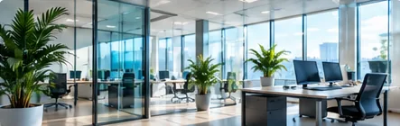 Bright modern business office